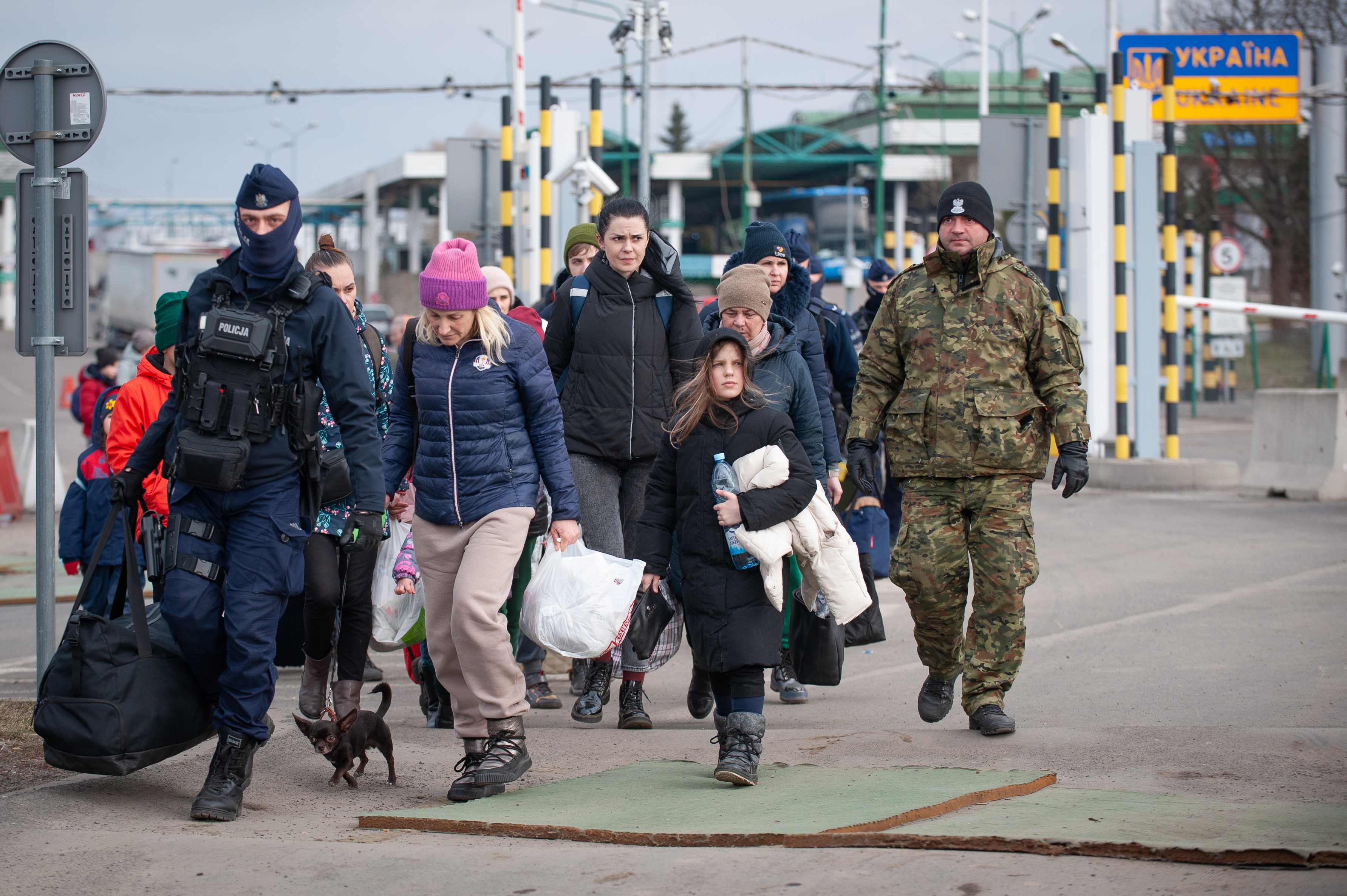 Украинцы статус беженца