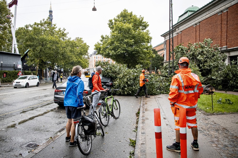 Photo Story: Warnings for heavy storms and strong winds issued in Denmark