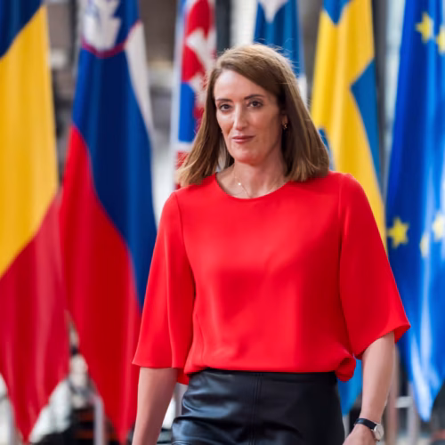 Two MEPs face hate speech complaints after EU deportation vote