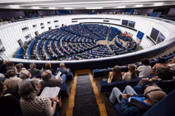 MEPs Demand Coordinated EU Response to Organised Crime and Corruption