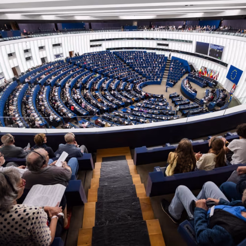 MEPs Demand Coordinated EU Response to Organised Crime and Corruption
